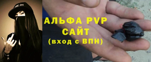 сатива Туринск