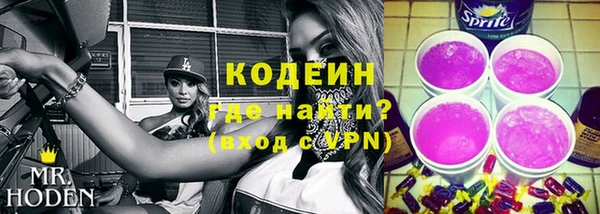 прущие грибы Всеволожск