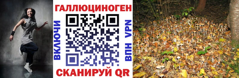 Псилоцибиновые грибы мухоморы  дарнет шоп  mega рабочий сайт  Андреаполь 